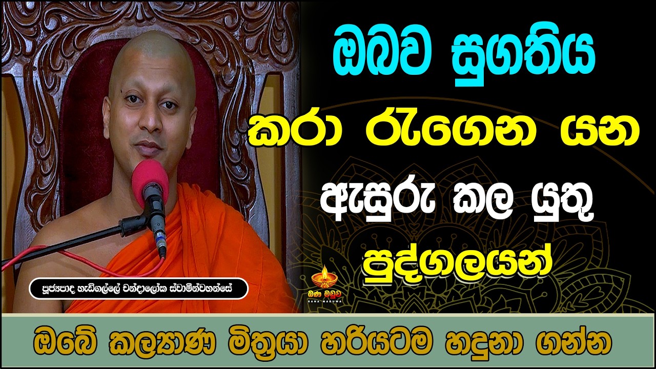 මෙහෙම කලොත් ජීවිතය සාර්ථක වෙනවාමයි | Hadigalle Chandaloka Thero | හැඩිගල්ලේ චන්දාලෝක හිමි | bana