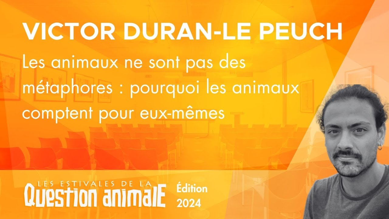 Les animaux ne sont pas des métaphores : pourquoi les animaux comptent pour eux-mêmes