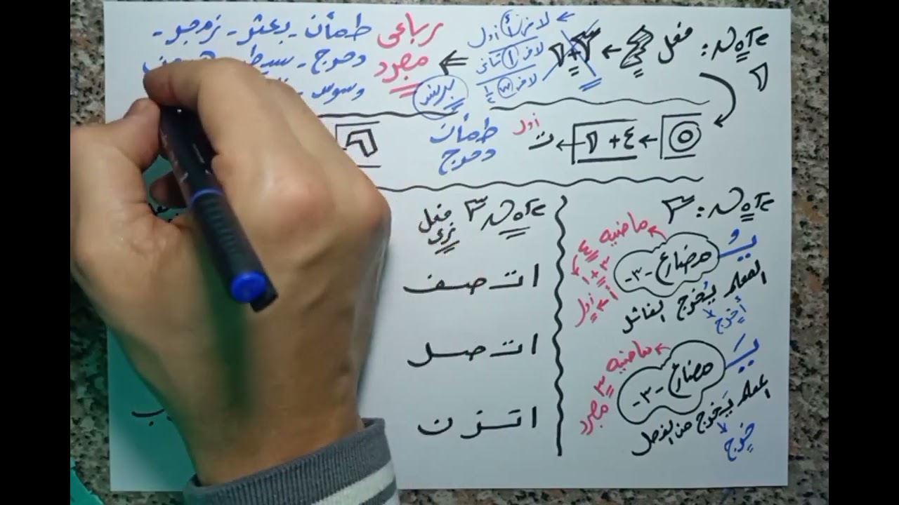 الفعل المجرد والمزيد