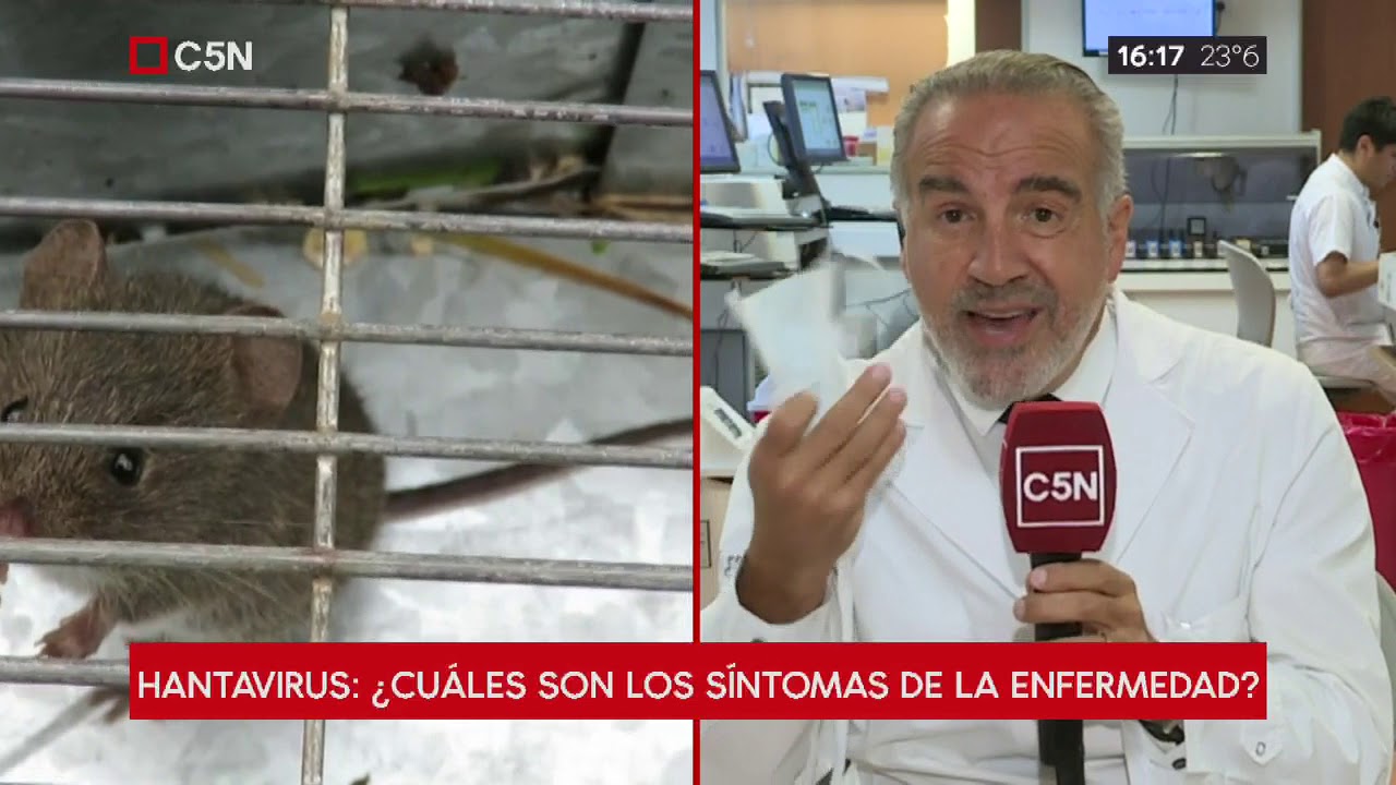 Hantavirus: ¿qué es y cómo se transmite?