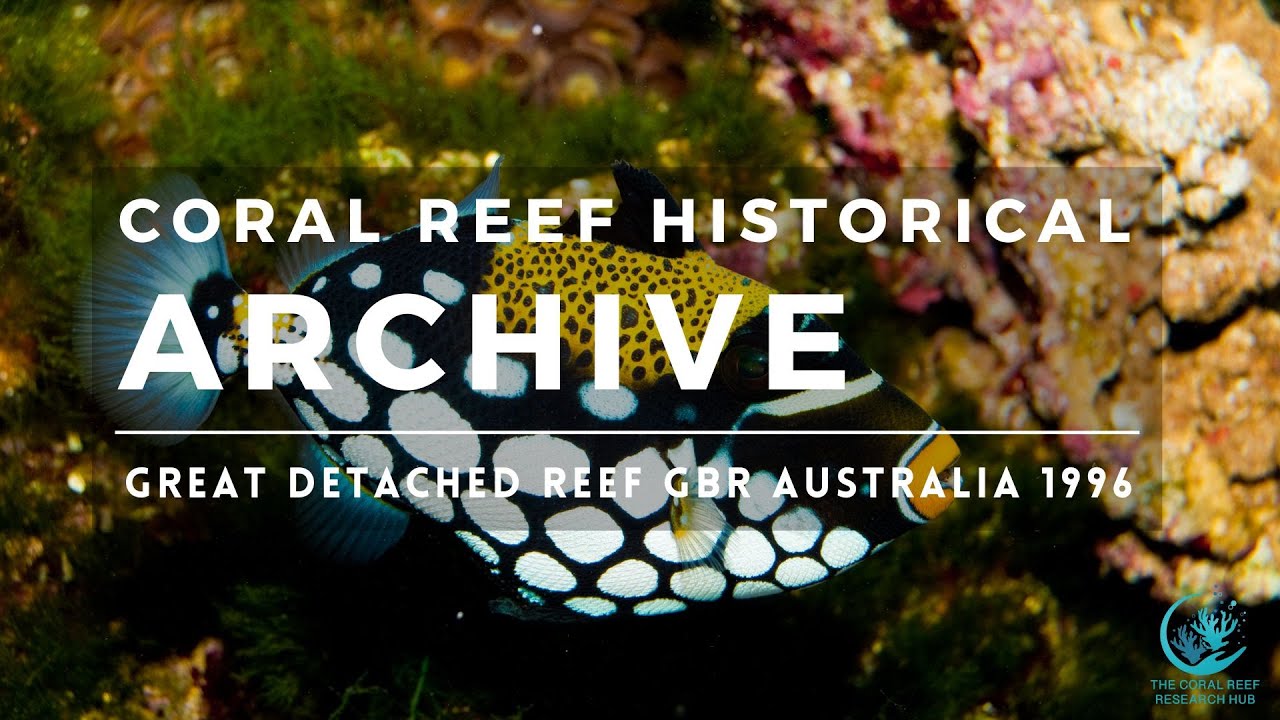Coral Reefs in Australia: GBR Great Detached Reef 1996 Historical Archive Bruce Carlson