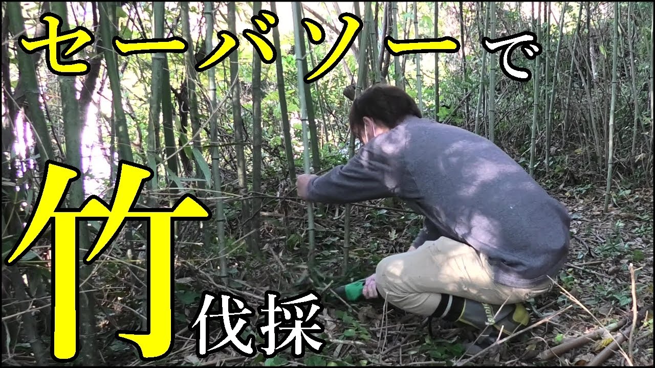 セーバソーで竹伐採｜通路の整備