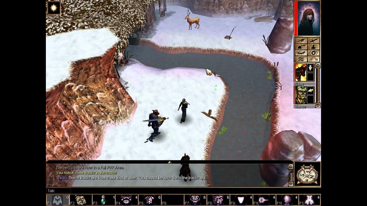 Neverwinter Nights SoU Playthrough Part 11: The Shadow Hart