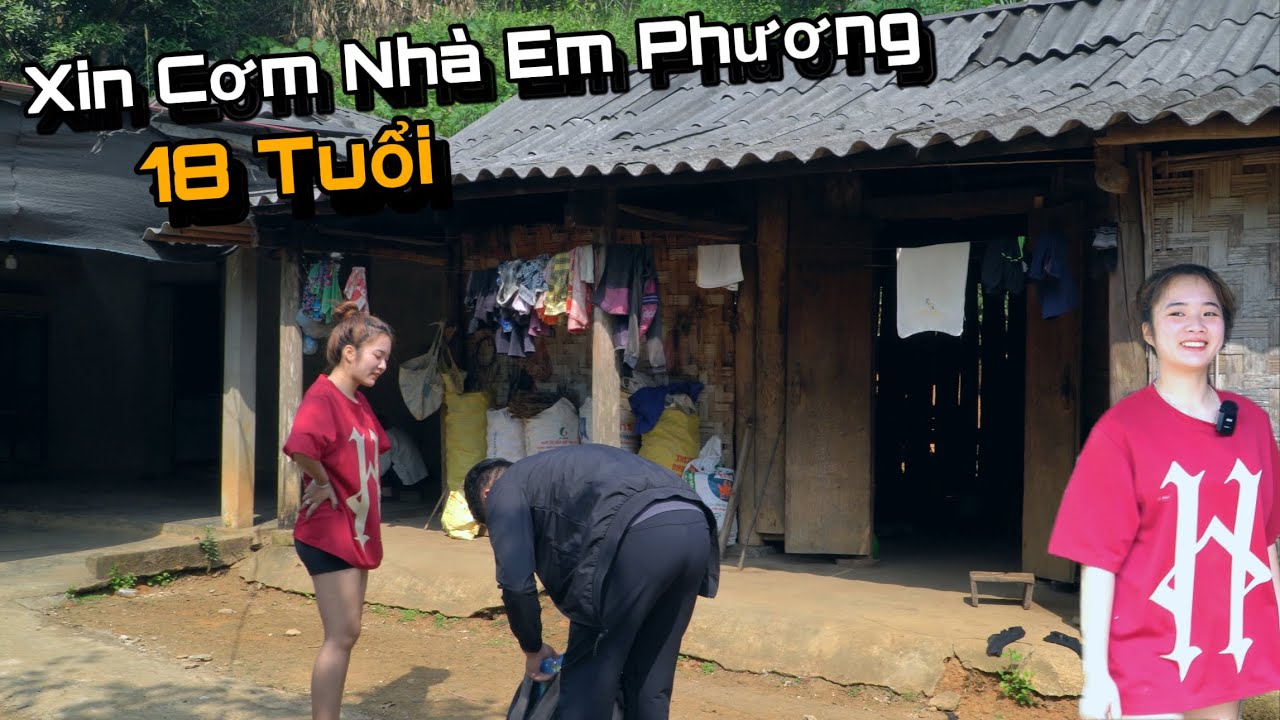 Vào Bản Người Dao Giàu Có Nhờ Trồng Cây Này? Được Em Gái Người Dao Ngỏ Ý Giữ Lại..!