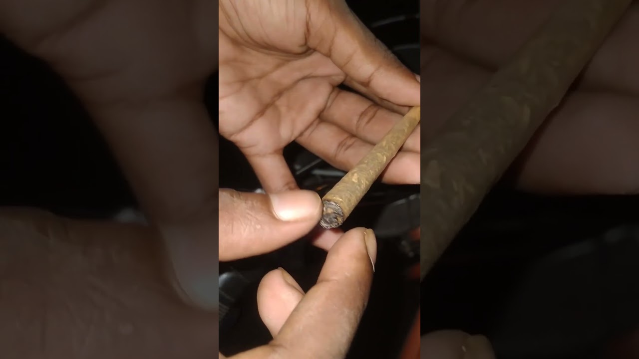 ganja lover // captain gogo/ocb/joint lover//oficial video//it's me TAMMY