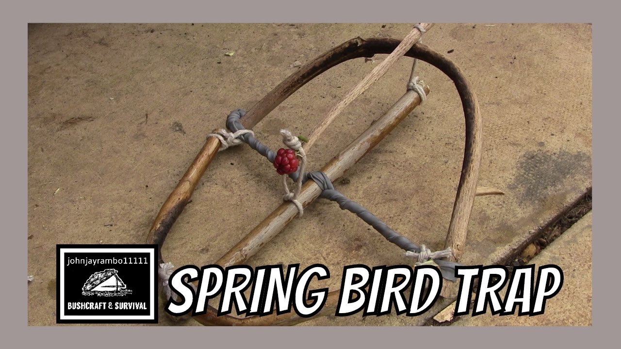 HOW TO MAKE A SPRING BIRD TRAP