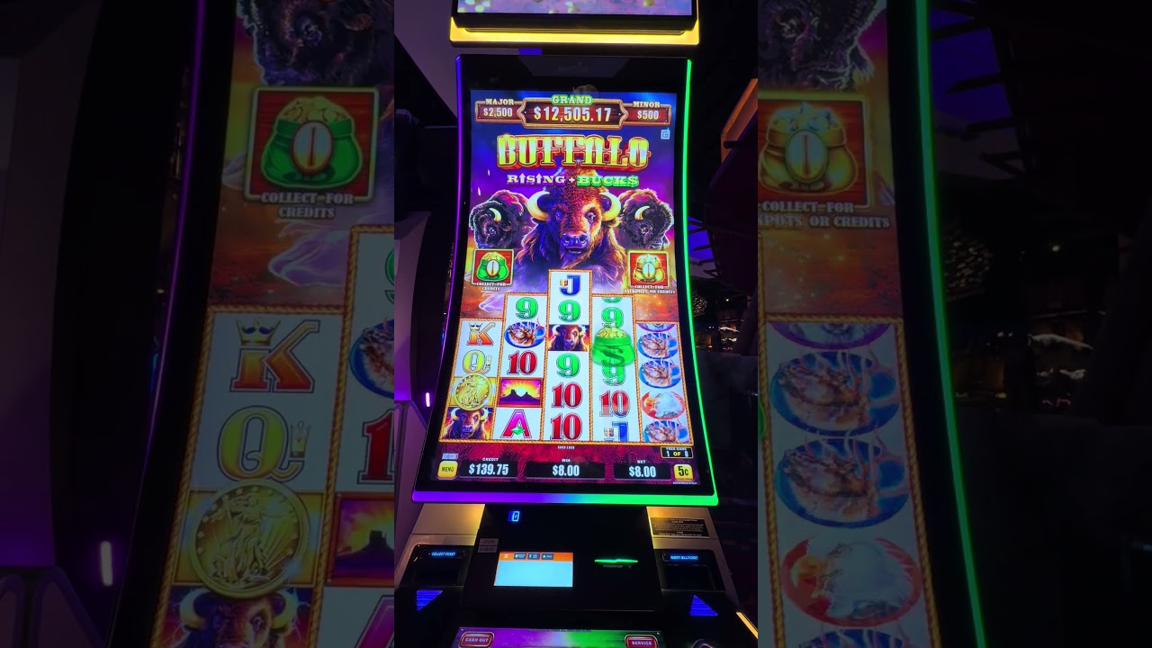 Buffalo Triple Power BONUS #slot #casino #jackpot #slotmachine #handpay #buffalo #mohegansun #bigwin