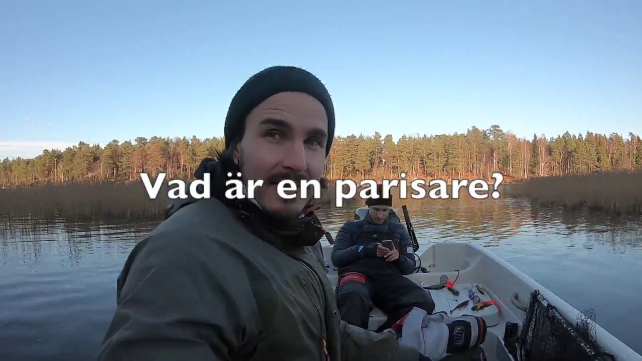 MONKEYBOYSFISHING | TILL HAVS | GÄDDFISKE 2018 |