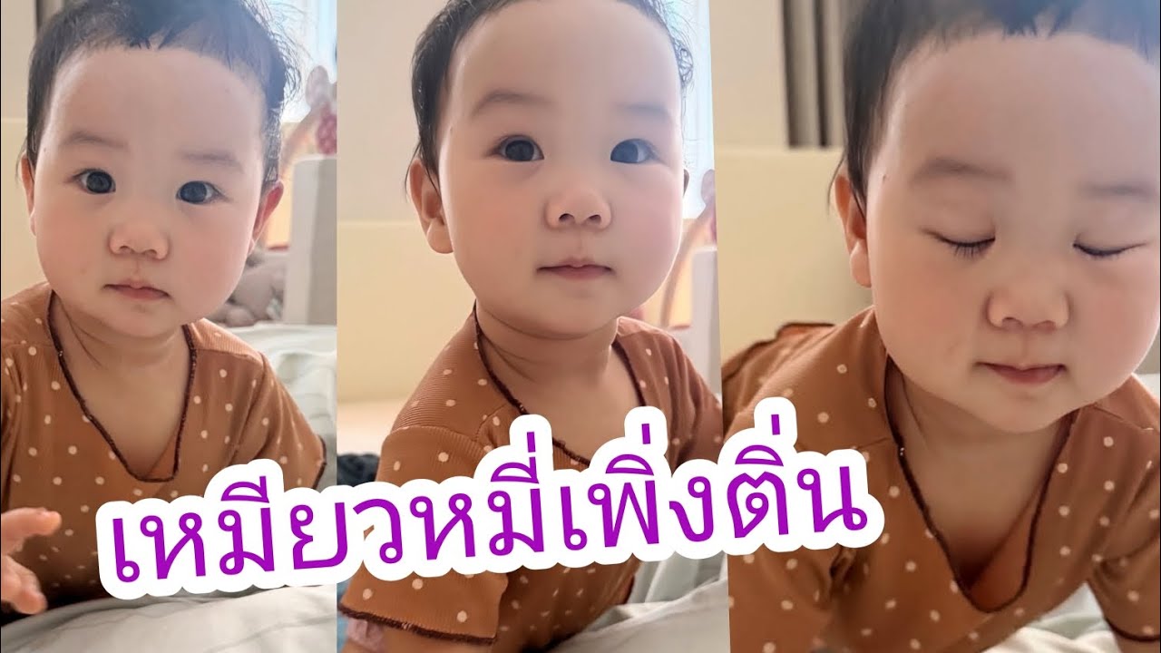 เหมียวหมี่ตื่นมาผมยุ่งๆ นิดนึง หัวเหม่งๆ #เหมียวหมี่ #ตู่มาวิน #ทายาทมาลีนนท์ 