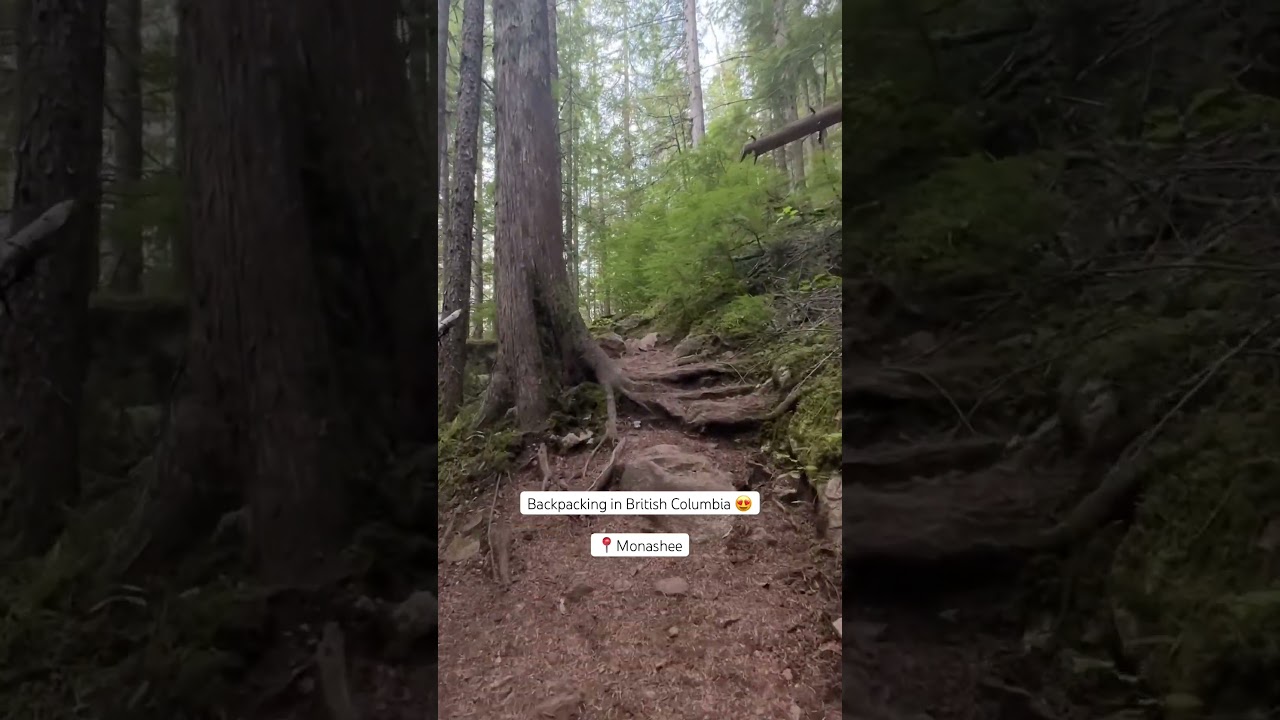 Monashee park 🤩 hiked to spectrum lake to camp! 