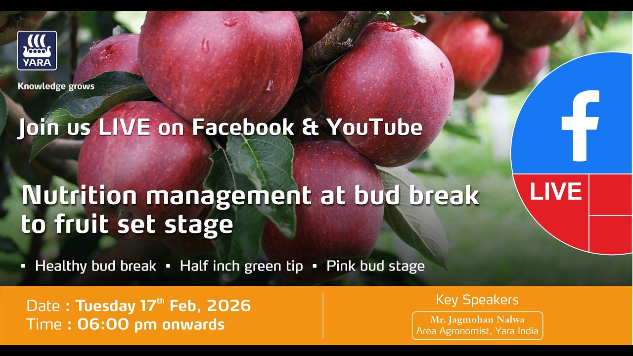 Nutrition Management at Bud Break to Fruit Set