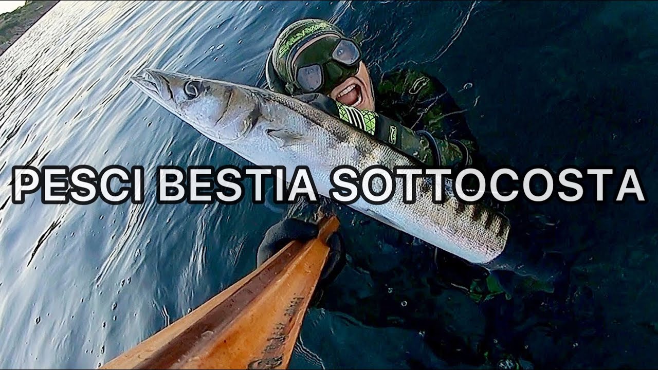 Pesca sub | MIGLIORI PREDE SOTTOCOSTA