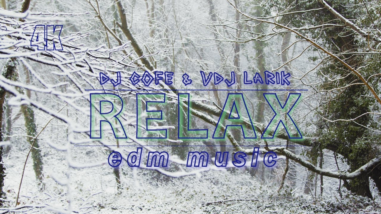 The best Relax music Dj CofE & VDJ Larik (video winter forest 4K)