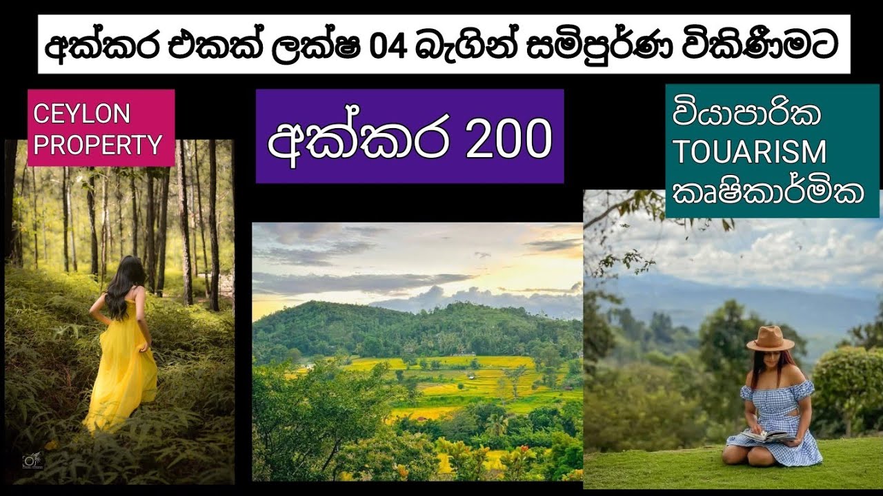 NO,,763 # සින්නක්කර අක්කර එකක් ලක්ෂ 04,වියාපාරික කෘෂිකාර්මික TOUARISM සුපිරි ඉඩම ඉක්මනින් විකිණීමට