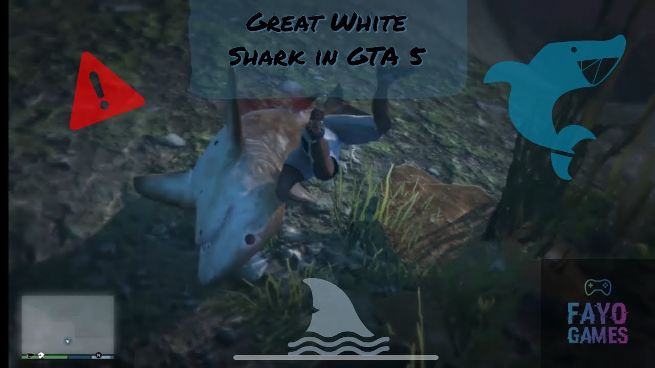 Finding a GREAT WHITE SHARK in Grand Theft Auto 5