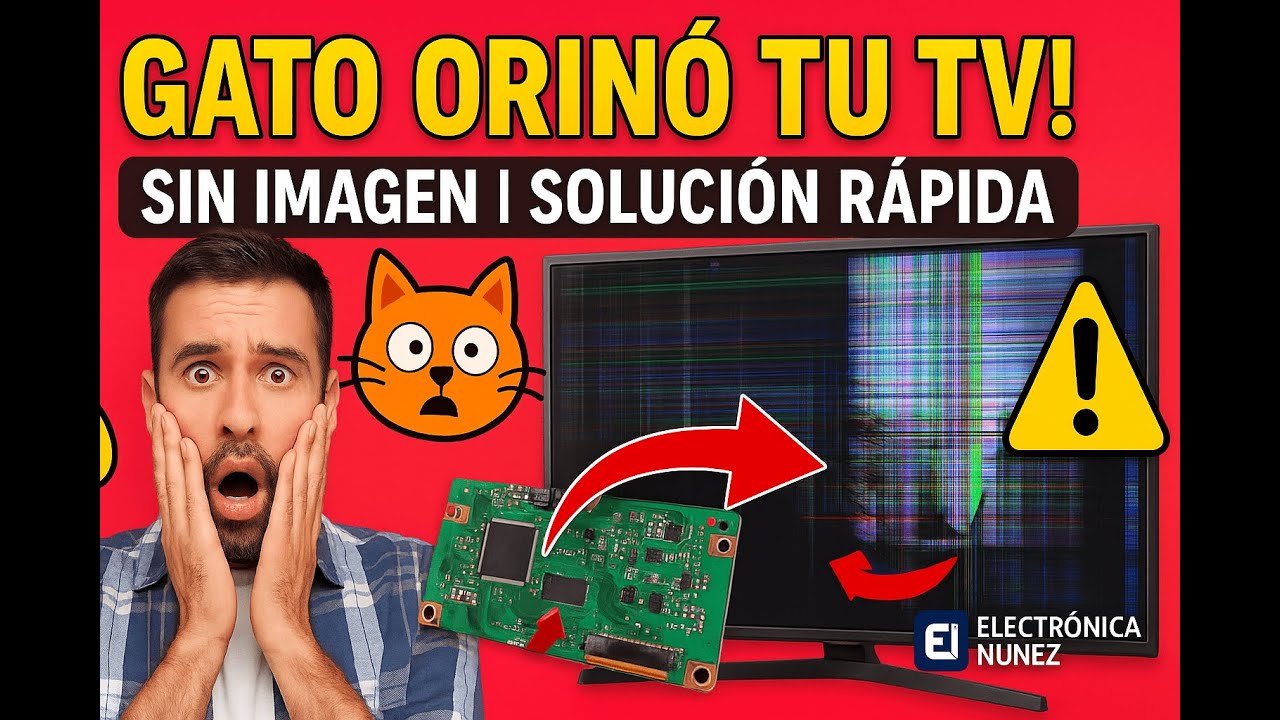 Mi Gato Arruin&oacute; Mi TV Con Orina - La Rescat&eacute; As&iacute;
