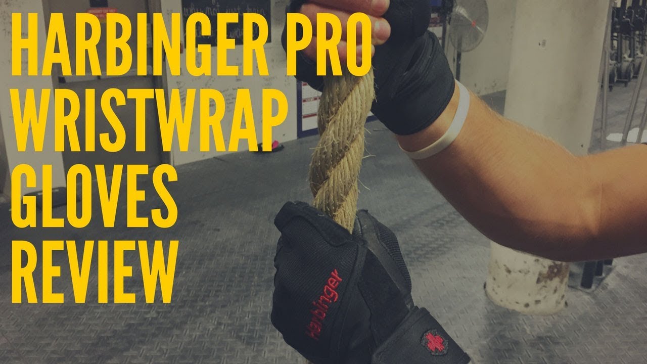 Harbinger Pro Wristwrap Gloves Review