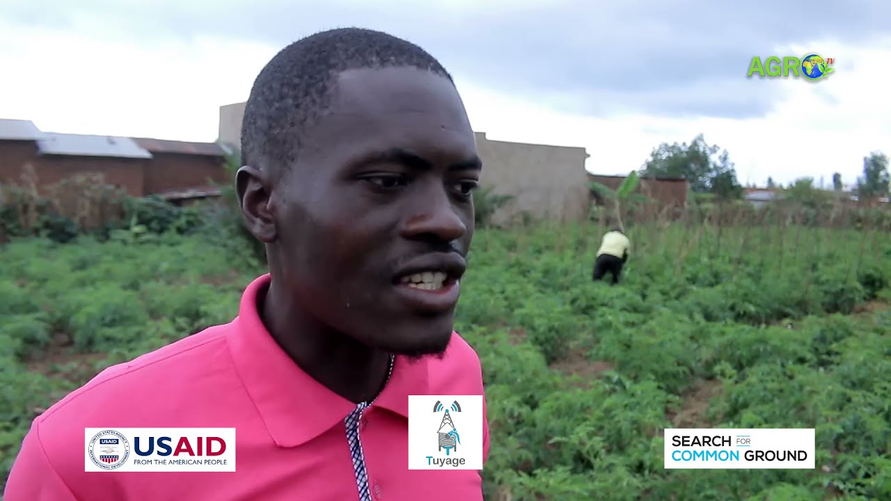 IKIBANZA GITO KIVAMWO AMATONI Y'ITOMATI || ABIGENZA GUTE?