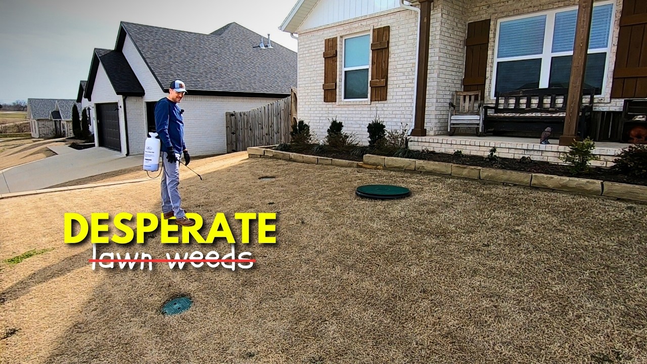 Your Weed Control Strategy Is Wrong In The Lawn
