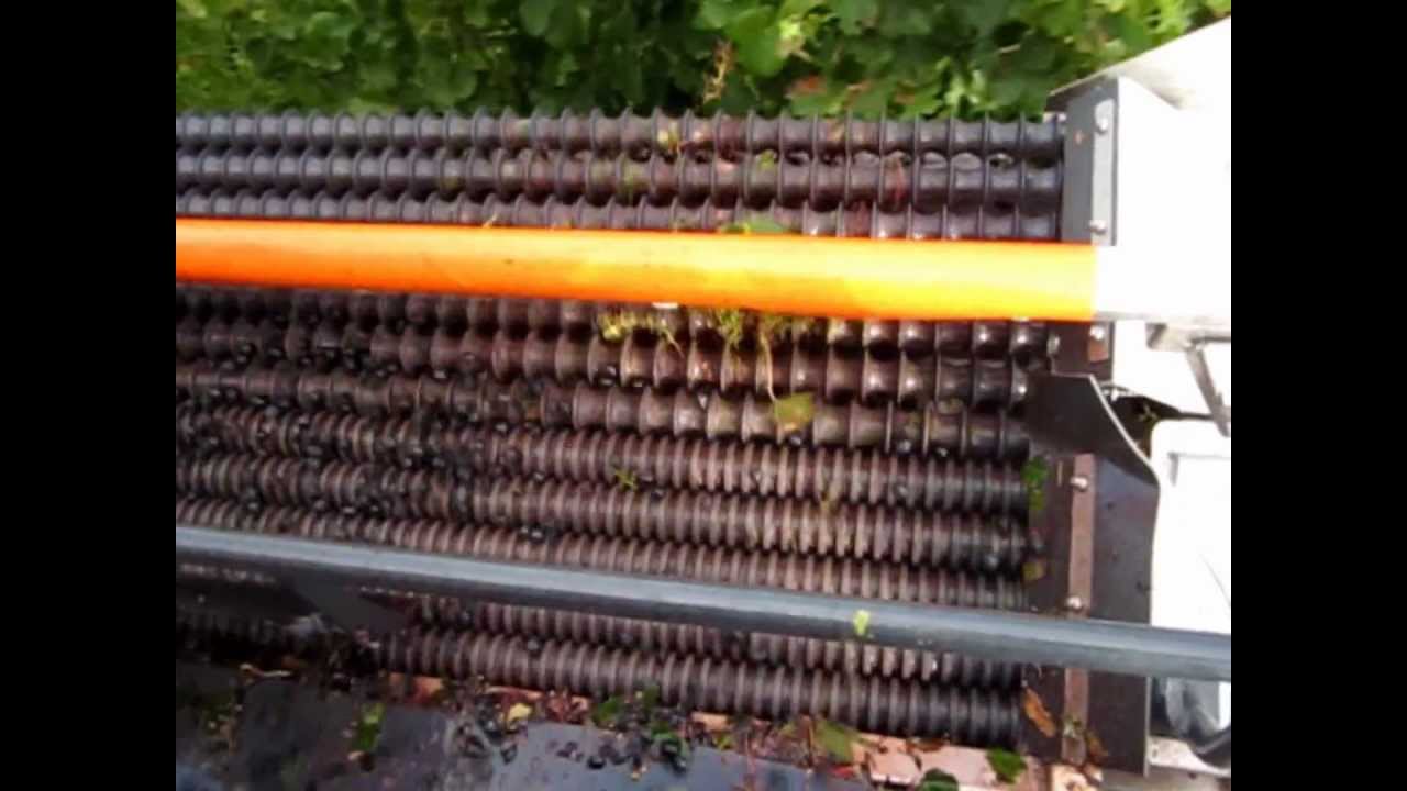 Weinlese 2012 Pfalz mit einem Pellenc 8090 Traubenvollernter, Selectiv'Process