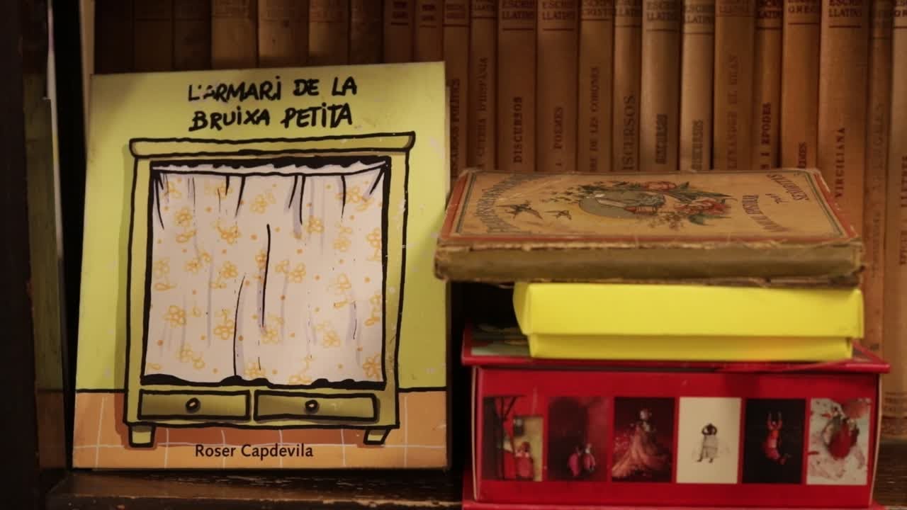 Entrevista a Roser Capdevila