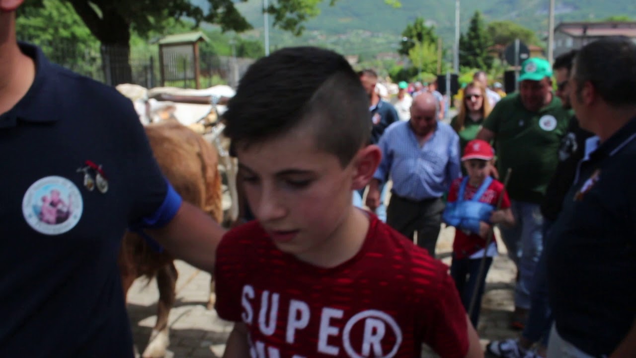 Sant'Antonio 2019 Rotonda