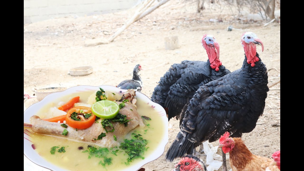 #Caldo de Pava  / #Receta peruana