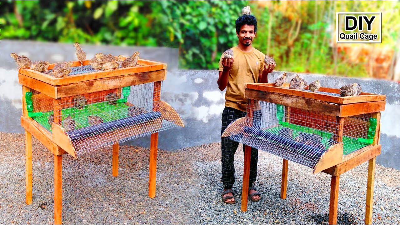 Easy Way To Make Quil Cage Using Wood and iron Net | DIY Quil Cage idea