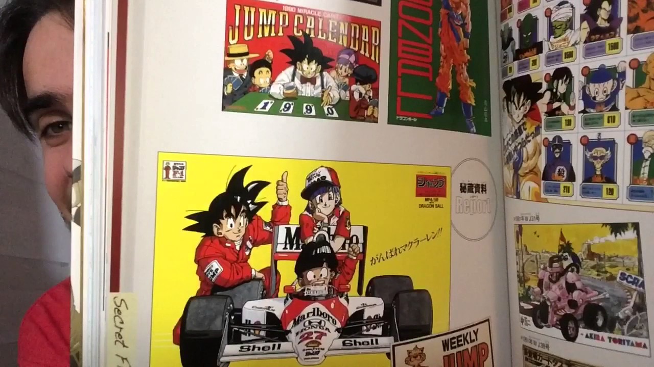 DRAGON BALL 30TH ANNIVERSARY SUPER HISTORY BOOK