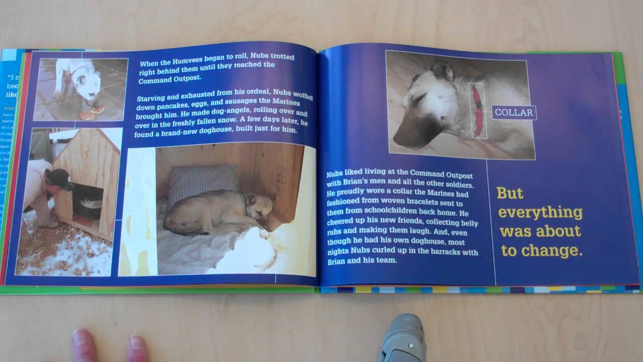 Nubs: The True Story of a Mutt, a Marine and a Miracle by Brian Dennis, Mary Nethery Kirby Larson