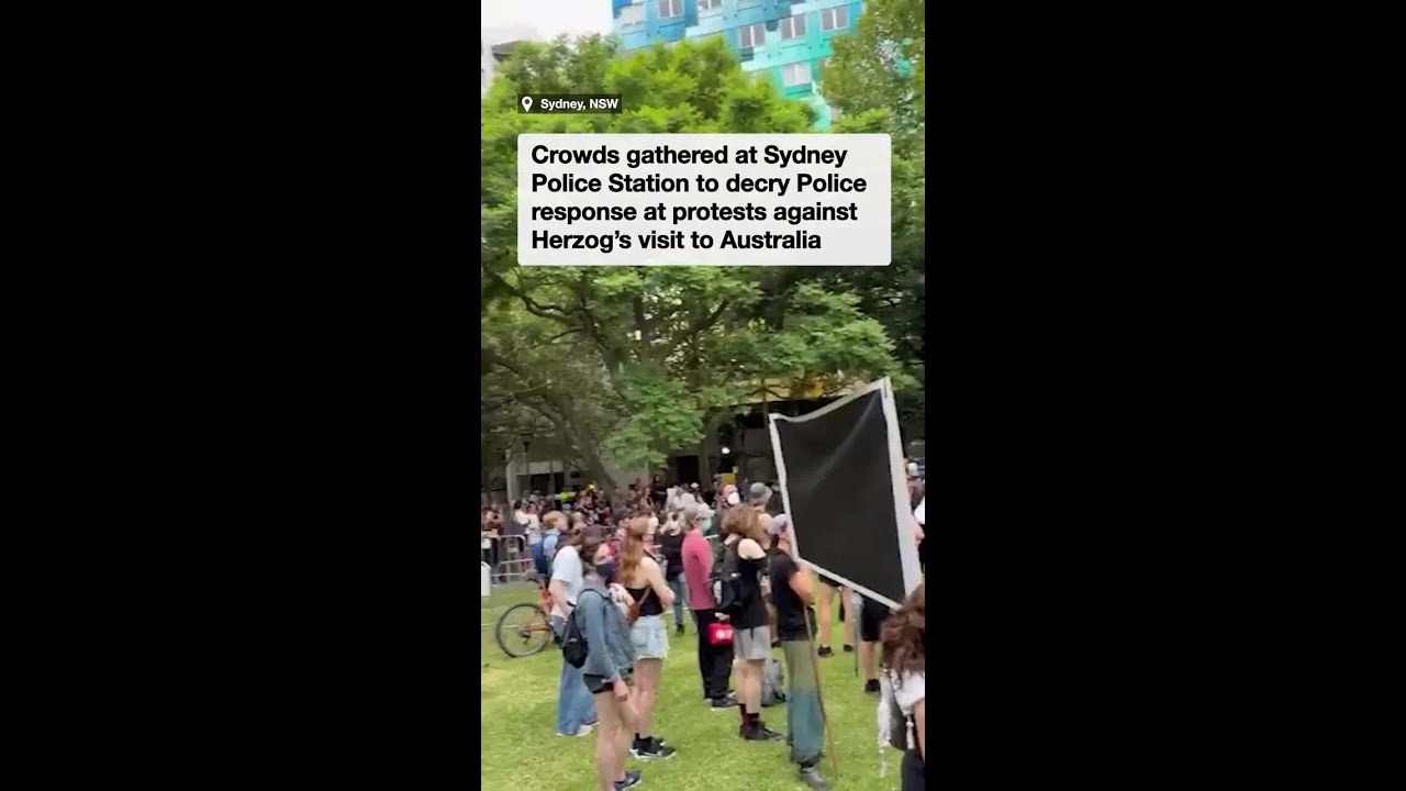 &lsquo;Brutal&rsquo; clashes prompt large protest outside Sydney Police Station