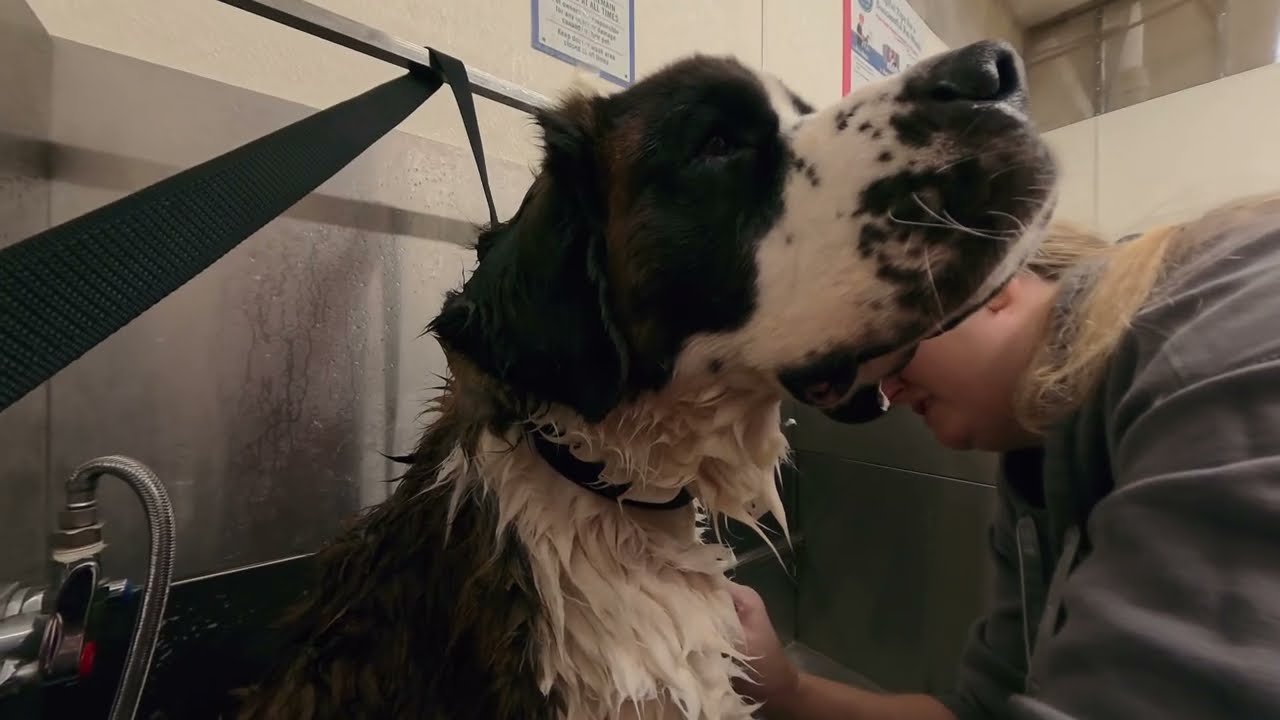 Angus Bath