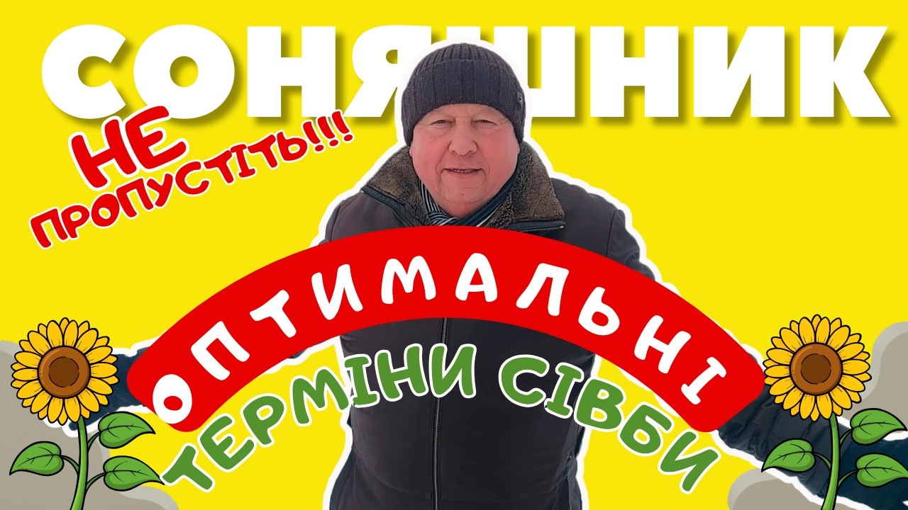🌻СОНЯШНИК в ТРЕНДІ🌻 Коли краще сіяти?!