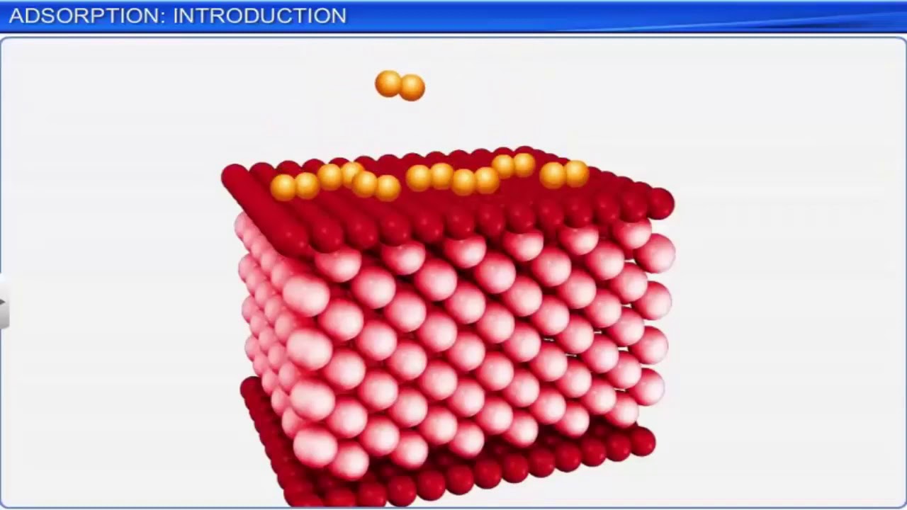 CBSE Class 12 Chemistry - 5 | Surface Chemistry | Part 1 |  Full Chapter | NCERT Animation | JEE NEE