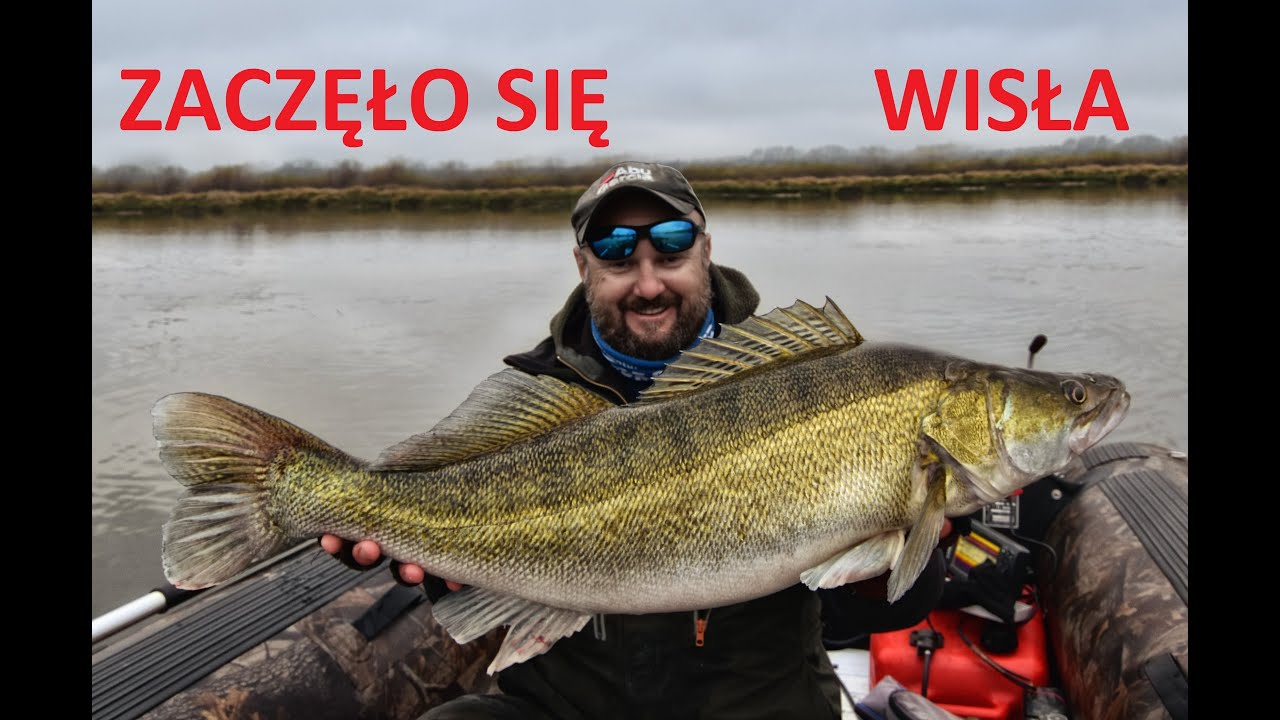 Listopadowa noc nad Wisłą, sandacze i odwiedziny Koguta / odc. 79 / @KogutWedkarskiPazur