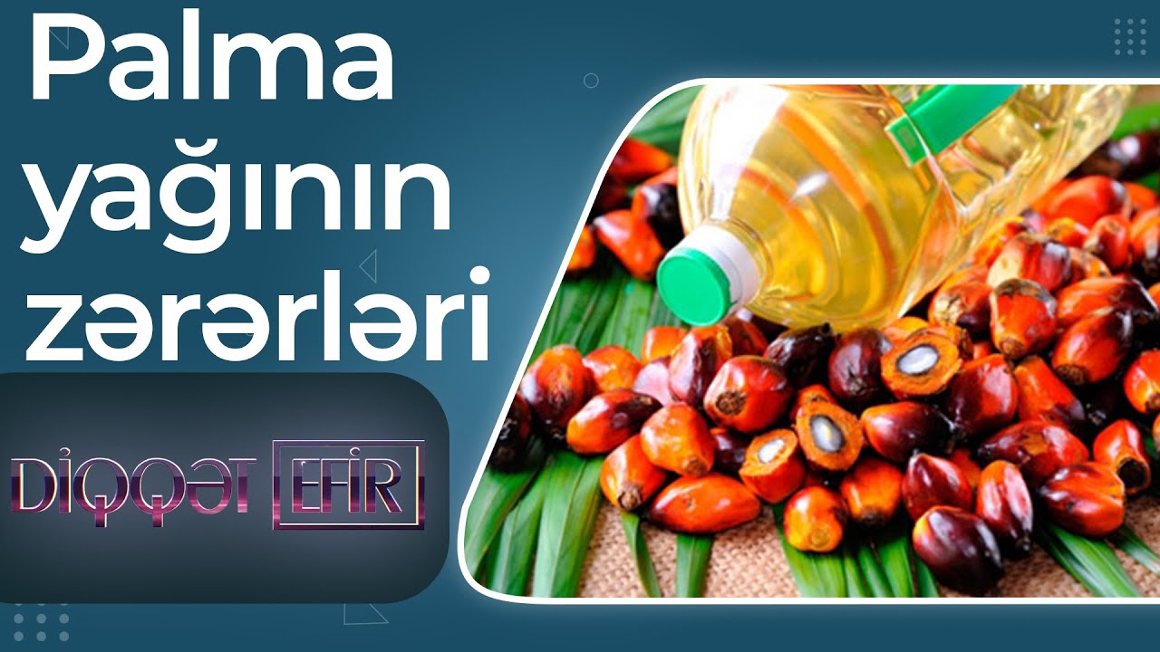 Palma yağının zərərləri: Piylənmə, Damarların tutulması, Xərçəng riski – Diqqət efir