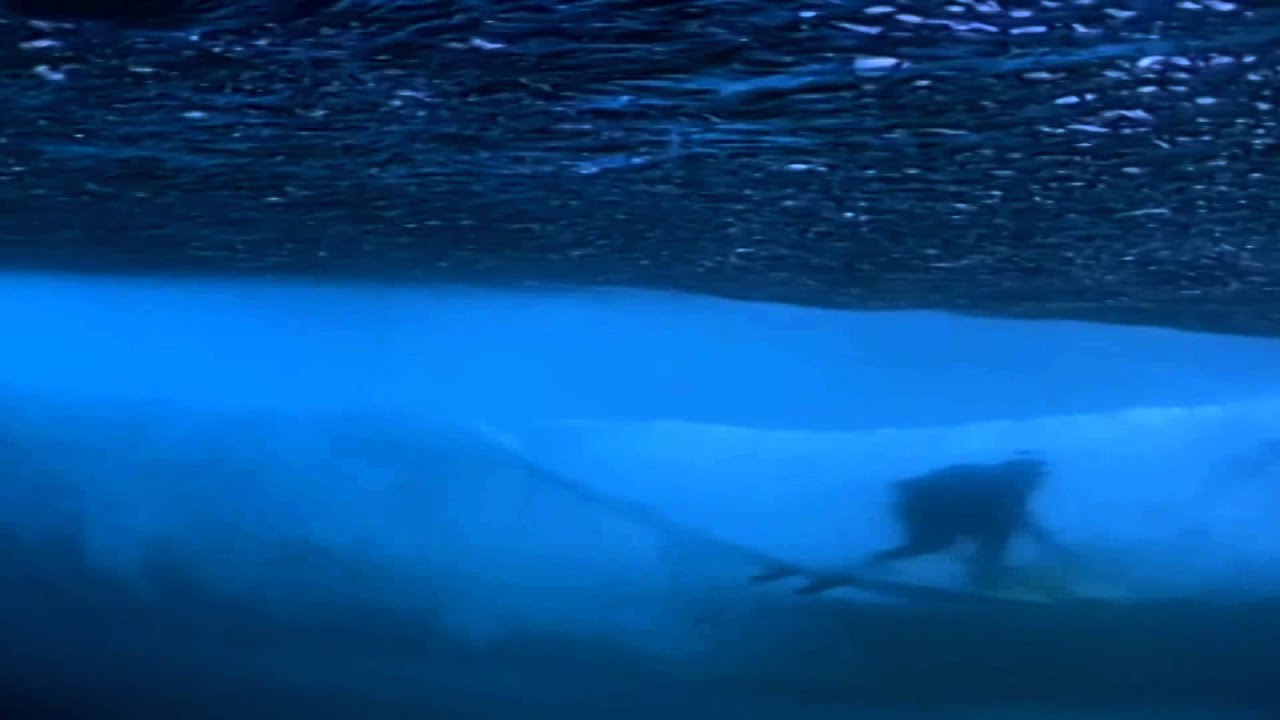 Shea McGilvray - Pool 7