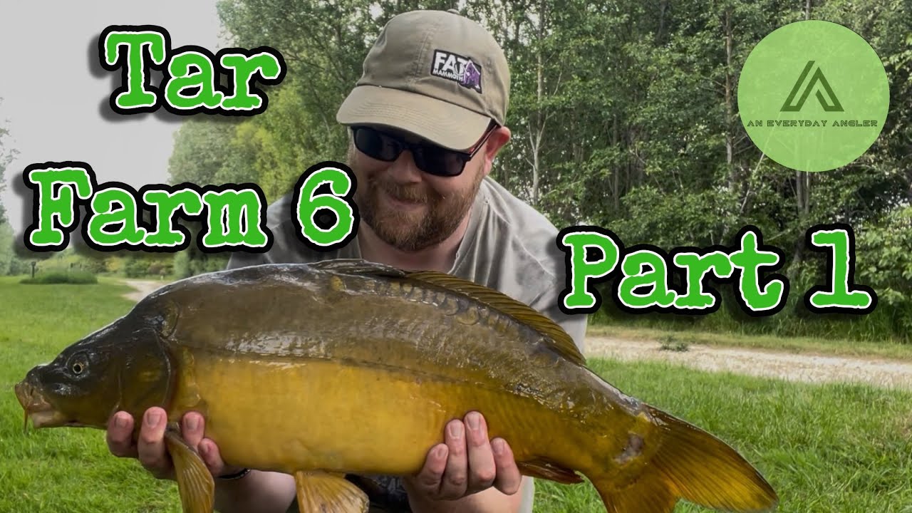 Linear Fisheries - Tar Farm 6 - Part 1