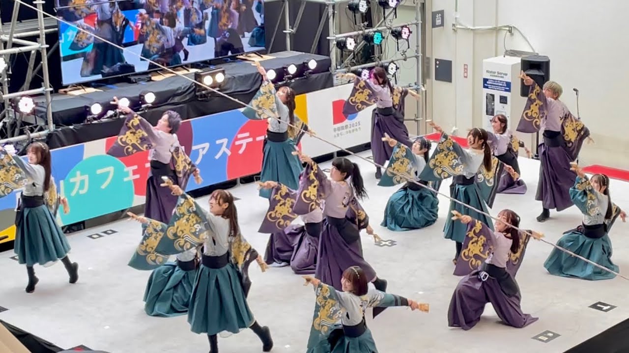 【HD】早稲田大学よさこいチーム東京花火【'24天つかさ】早稲田祭 2025.11.02｜戸山カフェテリアステージ