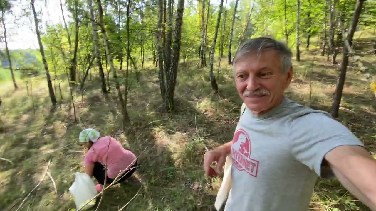 Грибний рай!