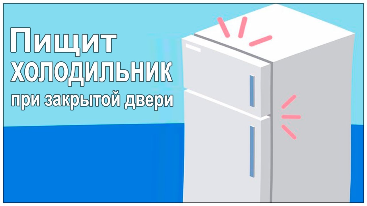 Почему холодильник пищит при закрытой двери? Причины и ремонт