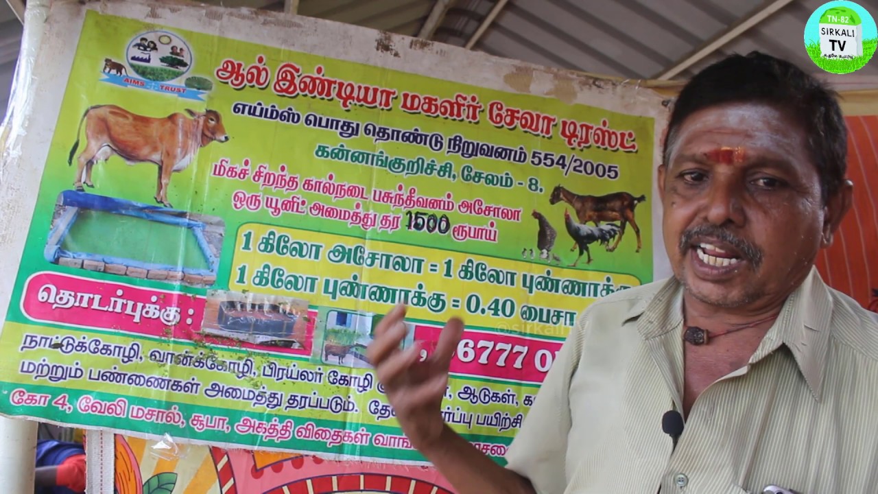 40 பைசாவில் ஆடு,மாடு,கோழிகளுக்கு தேவையான ஒரு கிலோ பசுதீவனம் தயார் முடியும் Azolla Valaruppu | அசோலா