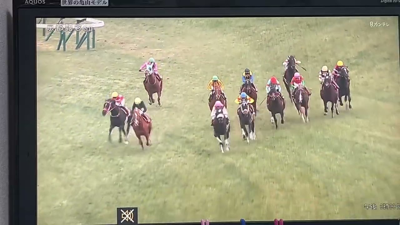 【競馬実況動画2026】農林水産省賞典第119回京都記念 ジューンテイク（藤岡佑介）