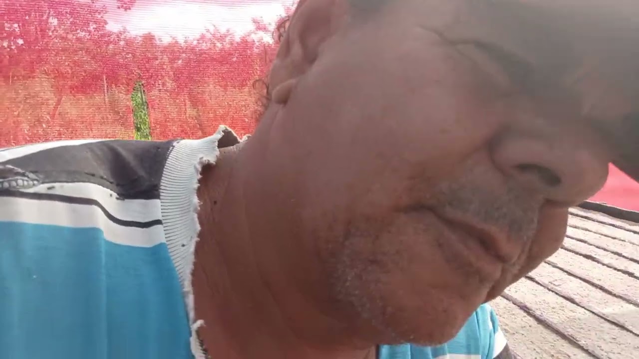 Plantando mais uma bancada de Cebolinha