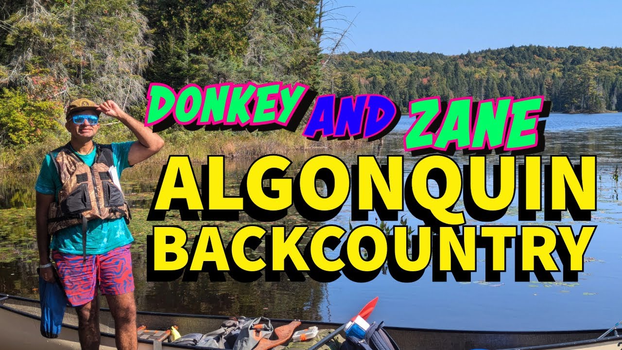 Donkey & Zane! A GOOD TIME IN ALGOGQUIN PARK - Episode 1