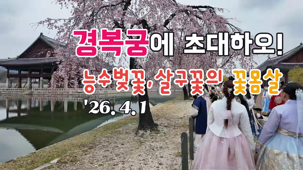 ◈봄꽃이 흐드러지게 창궐한 경복궁 경회루와 자경전
