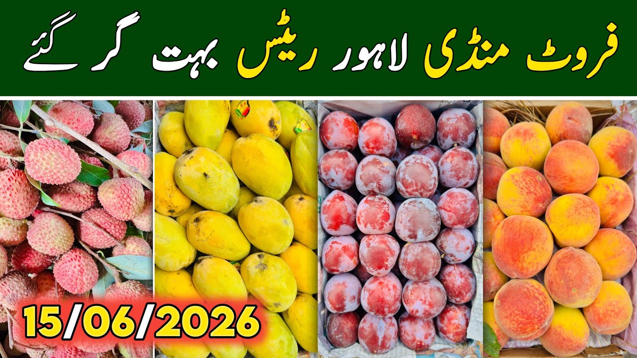Fruit Mandi Lahore Latest Video | Lahore Fruit Mandi Rates Today | Fruit Rates | Fruit Market Lahore