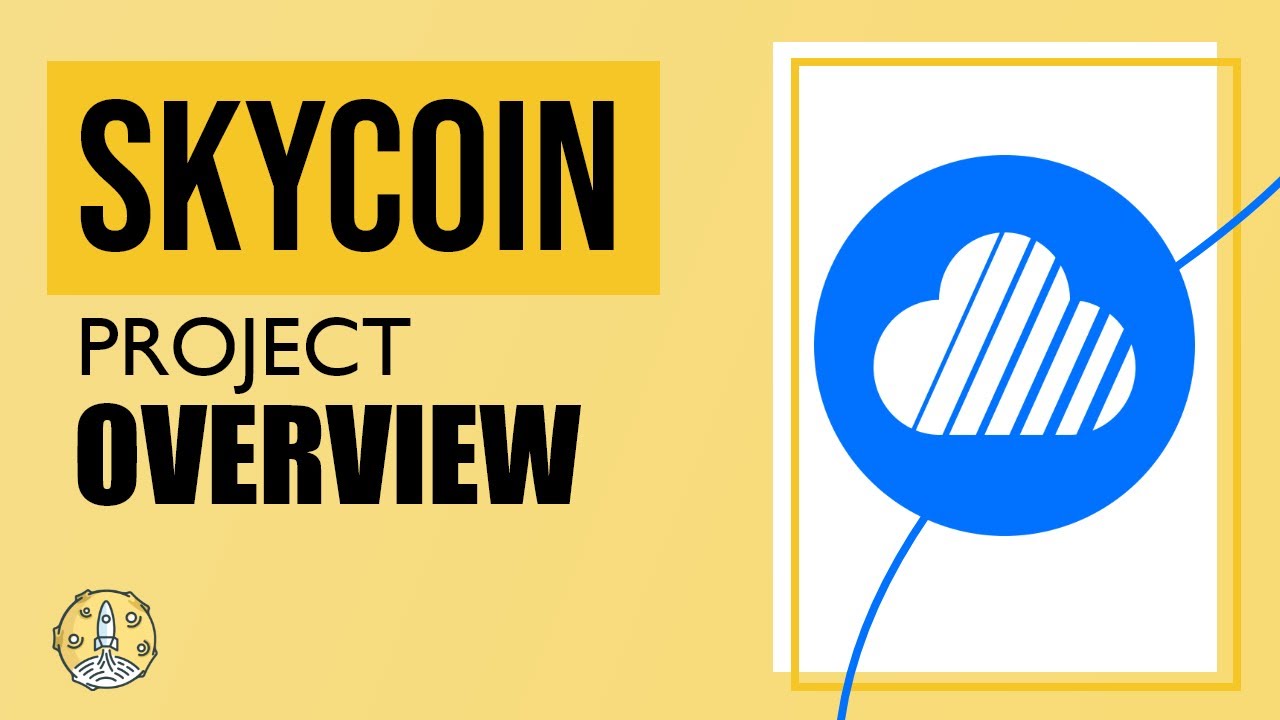 Skycoin Project Overview | Building a Decentralized Internet from Scratch | The 100X Show
