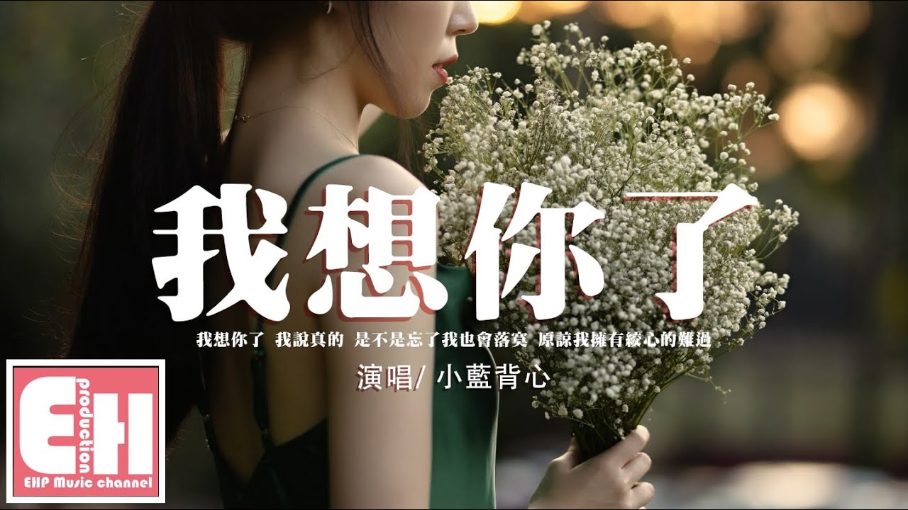 小藍背心 - 我想你了『你是不是也一樣沉淪過，可最後沒被寫進了結果。』【動態歌詞/Vietsub/Pinyin Lyrics】