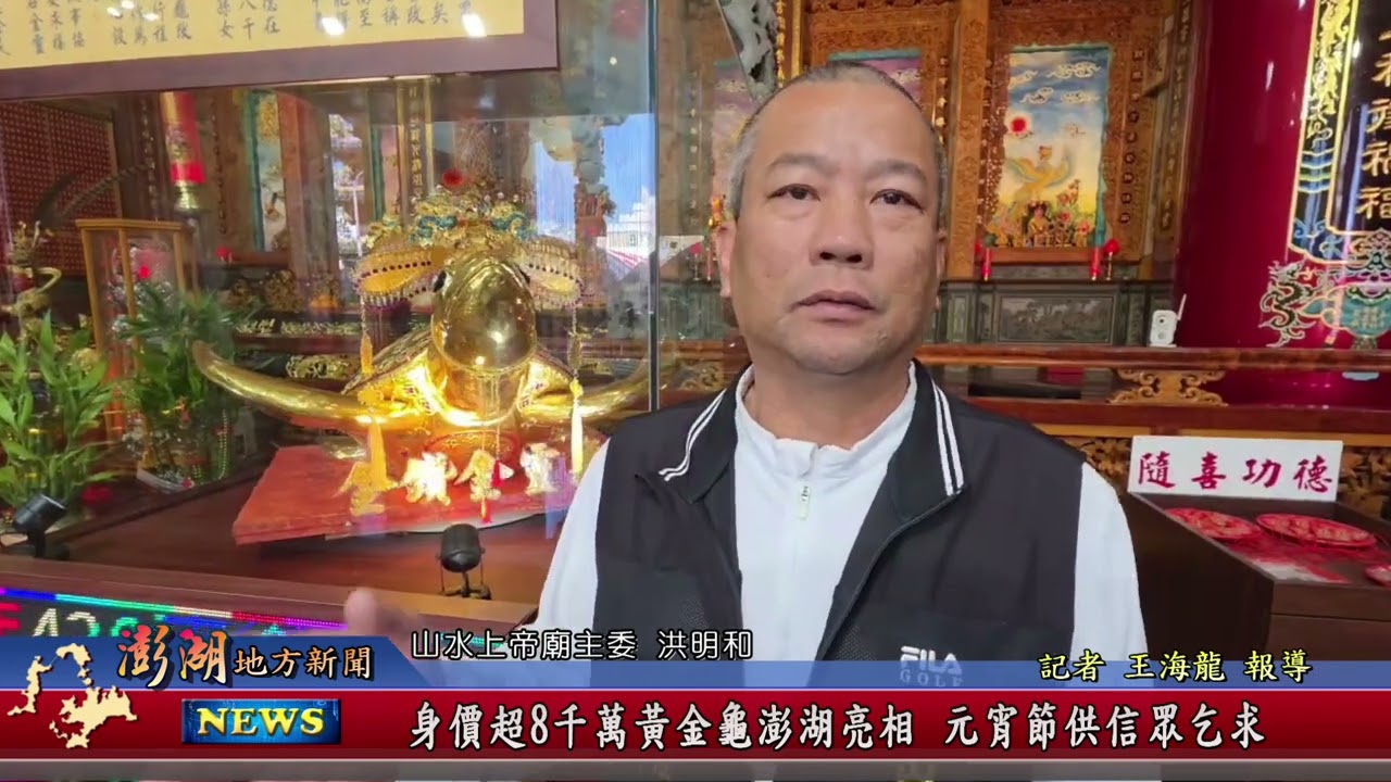 115.2.25地方新聞：身價超8千萬黃金龜澎湖亮相 元宵節供信眾乞求